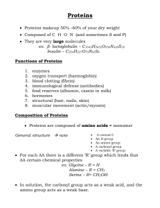 Proteins - CasimiroSBI4U