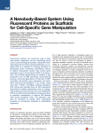 A Nanobody-Based System Using Fluorescent Proteins as Scaffolds