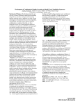 Development of Combinatorial Peptide Screening to Identify Novel