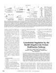 Cytoskeletal Regulation by the Nedd8 Ubiquitin-Like