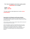 Homeostasis in digestive and excretory systems