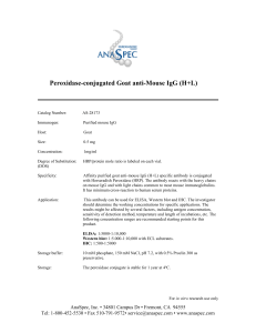 Peroxidase-conjugated Goat anti-Mouse IgG (H+L)