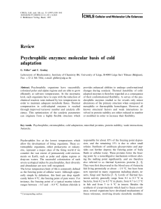 Review Psychrophilic enzymes: molecular basis of cold