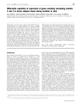 Differential regulation of expression of genes encoding uncoupling