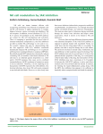 NK cell modulation by JAK inhibition