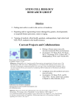 STEM CELL BIOLOGY RESEARCH GROUP