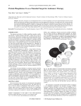 Protein Phosphatase 2A as a Potential Target for Anticancer Therapy