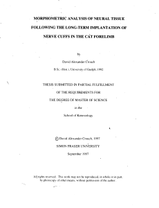 Morphometric analysis of neural tissue following the