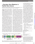 γ-Secretase Gene Mutations in Familial Acne Inversa BREVIA