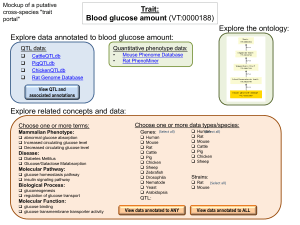 Blood glucose amount