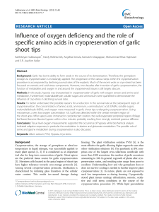 Influence of oxygen deficiency and the role of specific amino acids in