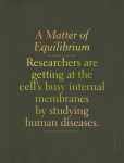 A Matter of Equilibrium Researchers are getting at the cell`s busy