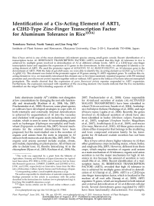 Identification of a Cis-Acting Element of ART1, a