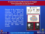 UPenn_MRSEC_1120901_SEED4_Discher_Lipid