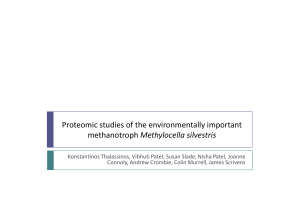 Proteomic studies of the environmentally important methanotroph