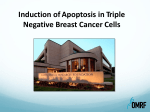 Induction of Apoptosis in Triple Negative Breast Cancer Cells