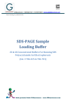 SDS-PAGE Sample Loading Buffer - G