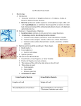 Lab Practical Study Guide Bacteriology Introduction Taxonomy went
