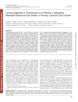 Cyclooxygenase-2 Contributes to N-Methyl-D-aspartate