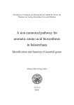 A non-canonical pathway for aromatic amino acid biosynthesis in