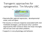 Transgenic approaches for optogenetics Tim Murphy UBC.