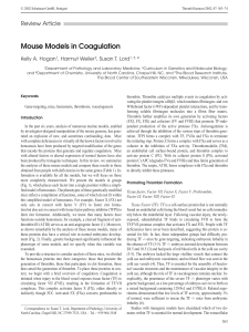 Mouse Models in Coagulation