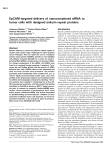 EpCAM-targeted delivery of nanocomplexed siRNA to tumor cells