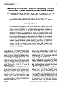 The Primary Structure of the Calcium Ion