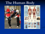 The Human Body - Net Start Class