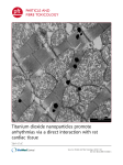Titanium dioxide nanoparticles promote arrhythmias via a direct
