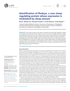 Identification of Redeye, a new sleep-regulating protein whose