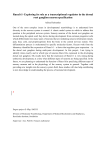 Runx1t1- Exploring its role as a transcriptional regulator in the