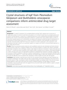 Crystal structures of IspF from Plasmodium falciparum and