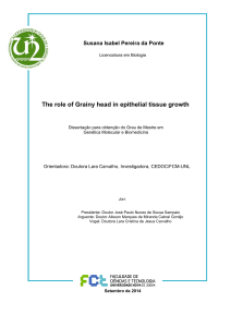 The role of Grainy head in epithelial tissue growth
