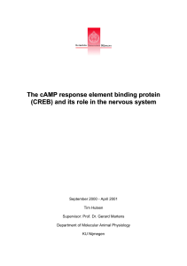 The cAMP response element binding protein (CREB) and its role in