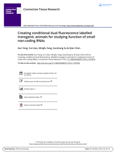 Creating conditional dual fluorescence labelled transgenic animals