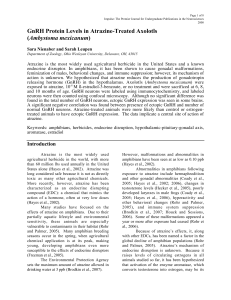 GnRH Protein Levels in Atrazine-Treated Axolotls