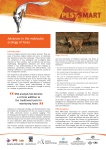 Advances in the molecular ecology of foxes