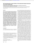 HIV-1 Envelope gp41 Is a Potent Inhibitor of Chemoattractant