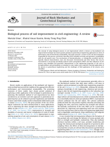 Biological process of soil improvement in civil engineering: A review