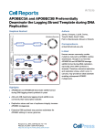 APOBEC3A and APOBEC3B Preferentially Deaminate the Lagging