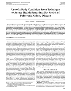Article Body Condition Score for Rats