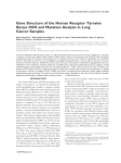 Gene Structure of the Human Receptor Tyrosine Kinase RON and