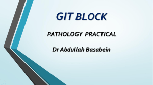 GIT BLOCK PATHOLOGY PRACTICAL Dr Abdullah