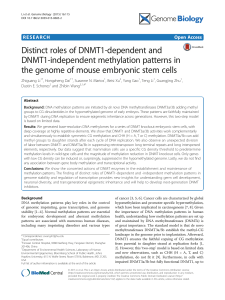 Distinct roles of DNMT1-dependent and DNMT1