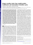 Robust circadian clocks from coupled protein