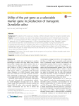 Utility of the pat gene as a selectable marker gene in production of