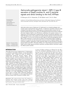 Salmonella pathogenicity island 1 (SPI-1) type III
