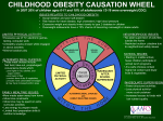 CHILDHOOD OBESITY CAUSATION WHEEL In 2007 20