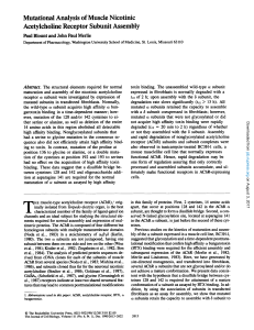 Mutational Analysis of Muscle Nicotinic Acetylcholine Receptor